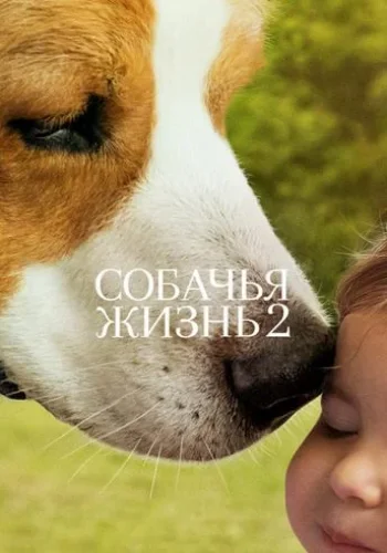 Постер к фильму Собачья жизнь 2
